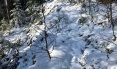 Trail Walking Saint-Dié-des-Vosges - Ormont 16kM - Photo 12