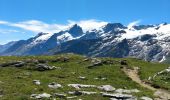 Randonnée Marche La Grave - Plateau d'Emparis - Photo 4