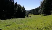 Tocht Stappen Vianden - Randonnée au  Natuurpark à partir de Vianden - Photo 4