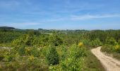 Trail Walking La Roche-en-Ardenne - Sanree 300523 - Photo 10