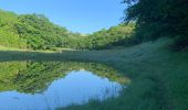 Tour Nordic Walking Sainte-Anne - Fond grand ma  - Photo 4