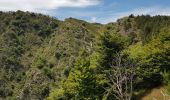 Trail Walking Val-d'Aigoual - Mont Aigoual - Cabrillac - Photo 14