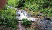 Randonnée Marche Gérardmer - le saut de la bourique Gérardmer 08/08/23 - Photo 5