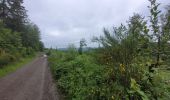 Tocht Stappen Vresse-sur-Semois - rando vresse sur semois 2-06-2024 - Photo 7