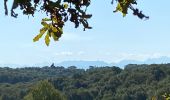 Tour Wandern Susmiou - GR 65 Navarrenx > Lichos - Photo 10