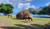 Tour Wandern Nuku Hiva - baie Colette  - Photo 1