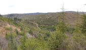 Tour Wandern Villeneuve-de-Berg - la forêt des sens Villeneuve de Berg  - Photo 15