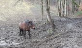 Trail Walking Stoumont - stpumont - froudcour aller via sentier corniche retour le long de l ambleve - Photo 4