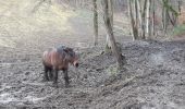 Percorso Marcia Stoumont - stpumont - froudcour aller via sentier corniche retour le long de l ambleve - Photo 4