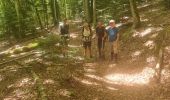 Tour Wandern Großmenglatt - Rando des Marcheurs du 7 Août 2025..Grosmagny - Photo 13