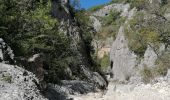 Trail Walking Oppedette - gorges d oppedette - Photo 5