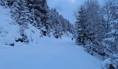 Trail Snowshoes Pralognan-la-Vanoise - Les Fontanettes  - Photo 4