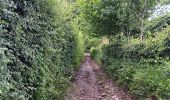 Trail Walking Theux - autour du Maquisart - Photo 12
