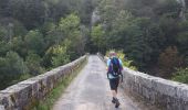 Trail Walking Grazac - Gorges du Lignon  - Photo 6