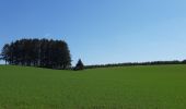 Tour Wandern Léglise - Volaiville - Winville - Photo 3