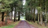 Randonnée Marche Gouvy - Promenade vers la réserve naturelle 