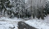 Tocht Stappen Vielsalm - Ville du Bois  - Photo 2