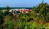 Tour Zu Fuß Unbekannt - Szlak im. Jeremiego Przybory - Photo 8