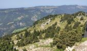 Tocht Stappen Saint-Nizier-du-Moucherotte - le Moucherotte depuis Saint Nizier - Photo 2