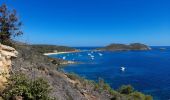 Trail Walking La Croix-Valmer - TOULON / CAVALAIRE SUR MER: CIRCUIT DE GIGARO - Photo 9