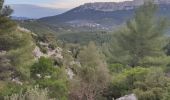 Excursión Senderismo Le Revest-les-Eaux - Les hauteurs de La ripelle - Le revest Les eaux - Photo 4