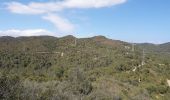 Tocht Te voet Barcelona - Del solell a l'obaga. Collserola - Photo 3