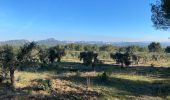 Trail Walking Fontvieille - Fontvieille - Photo 2
