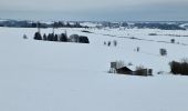 Trail Snowshoes Büllingen - Manderfeld (PVDB) - Photo 5