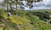 Trail Walking Anthisnes - Anthines - Comblain-au-Pont - Photo 1