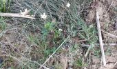 Percorso Marcia Roquebrune-sur-Argens - z rando dans les vignes 15-01-19 - Photo 5