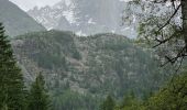 Trail Walking Chamonix-Mont-Blanc - Chamonix : Les Bois - le chapeau  - Photo 8