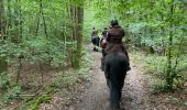 Trail Horseback riding Bastogne - Livarchamps - Surre (LU) 29 août 2021 - Photo 6
