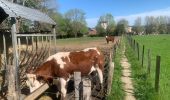 Tour Wandern Ascain - Col de la Rhune - Photo 6