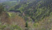 Trail Walking Monistrol-d'Allier - Monistrol/ Pourcheresse par le GR 470 - Photo 2