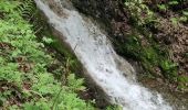 Excursión Senderismo Tournavaux - Blossette la gyre et la lyre - Photo 6