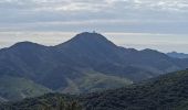 Tour Wandern Argelès-sur-Mer - massane - Photo 15