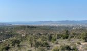 Trail Walking Fréjus - Depuis la Louve en boucle - Photo 1