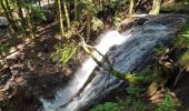 Excursión Senderismo Mont-Dore - cascadeS ,saut du Loup - Photo 1