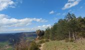 Tocht Stappen Saint-Jean-du-Bruel - Le roc nantais - Photo 6