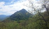 Tour Wandern La Chapelle-du-Mont-du-Chat - Belvédères du mont du chat - Photo 6