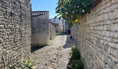 Tocht Stappen La Flotte - Île de Ré  la flotte - Photo 5