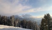 Tour Schneeschuhwandern Saint-Jean-de-Sixt - Le panorama du Danay (14) - Photo 4