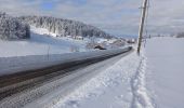 Randonnée Raquettes à neige La Pesse - La Pesse Embossieux /Le Lac de l'Embouteilleux  - Photo 12