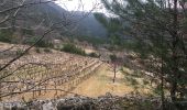Trail Walking Soubès - Soubes - Mas Rouquet - Photo 11