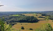 Randonnée Marche Esneux - beauregard . roche aux faucons . nomont  - Photo 9