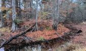 Randonnée Marche Fontainebleau - maison forestière Bois le roi 1er décembre 2023 - Photo 6