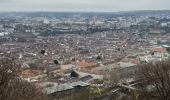 Randonnée Marche Besançon - Brégille, Beauregard  - Photo 19