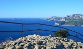 Randonnée Marche Cassis - Pas de la Colle - Falaises Soubeyranes - Sémaphore du Bec de l'Aigle - Anse de Figuerolles - Parc Mugel - La Ciotat - Photo 9