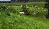 Tour Wandern Saint-Privat-d'Allier - live Saint Privat - Saugues - Photo 10