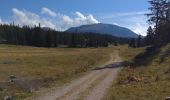 Tour Mountainbike Saint-Agnan-en-Vercors - Pré Peyret depuis la Coche - Photo 1